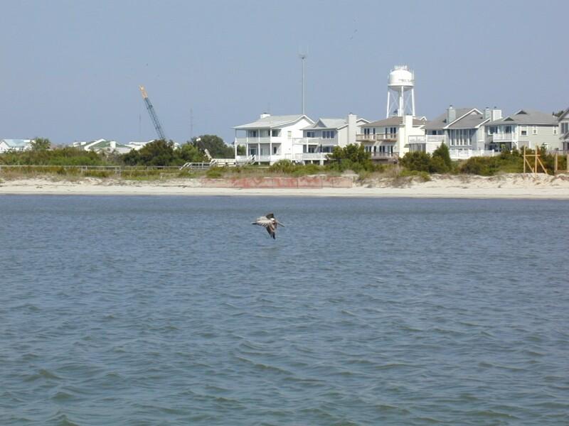 P5190046.jpg, 98139 bytes, 5/20/01