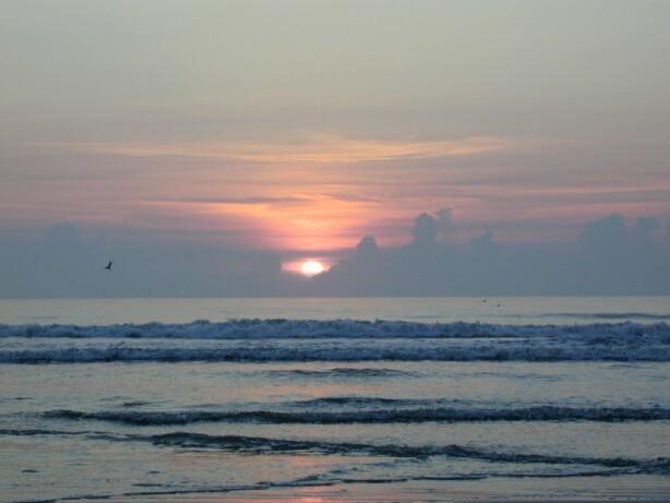 P8300355.jpg, 45185 bytes, 9/3/01