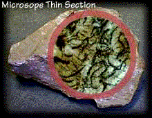 Pumice Rock