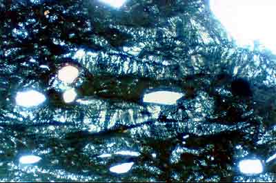 Densely Welded Tuff, polarized light
